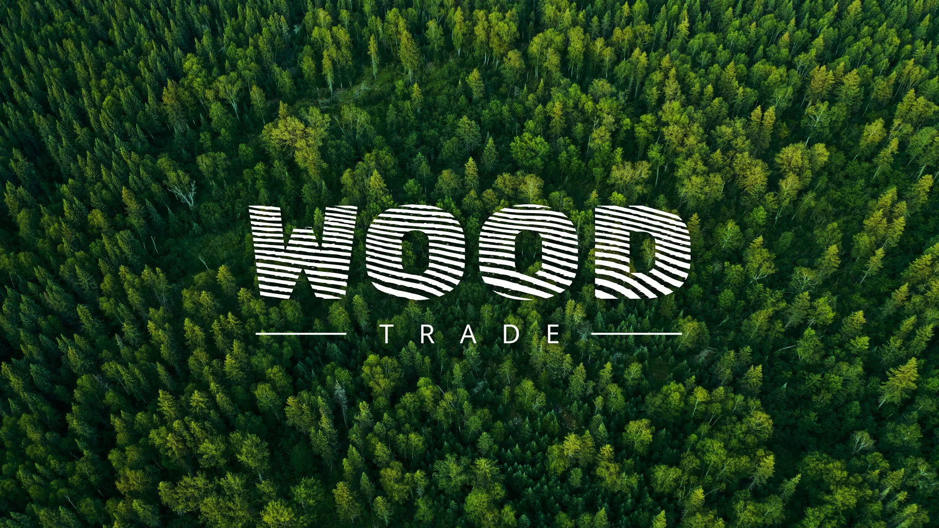 Разработка интернет-магазина компании «Wood Trade» в Нижнем Новгороде