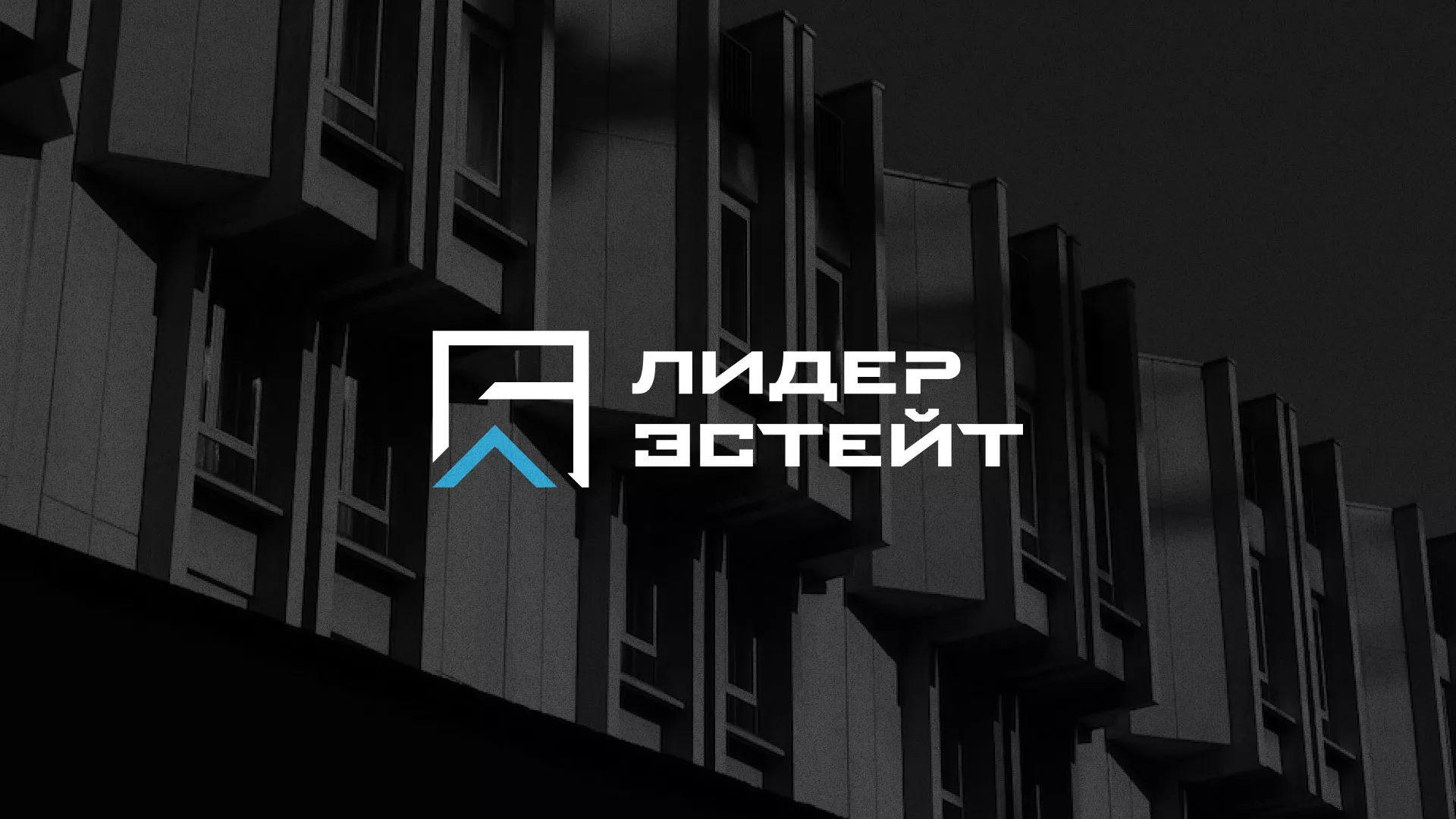 Разработка логотипа агентства недвижимости «Лидер Эстейт» в Нижнем Новгороде
