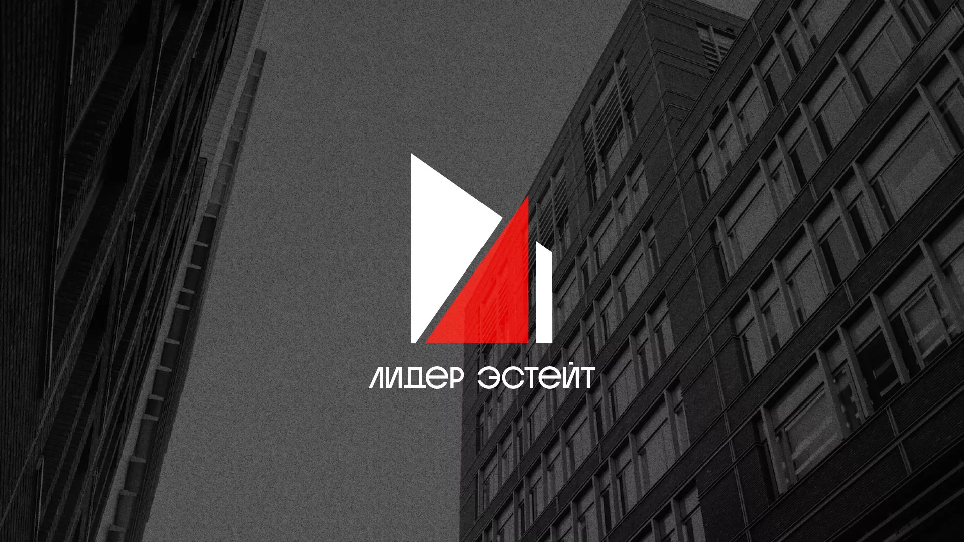 Сделали логотип для агентства недвижимости «Лидер Эстейт» в Нижнем Новгороде